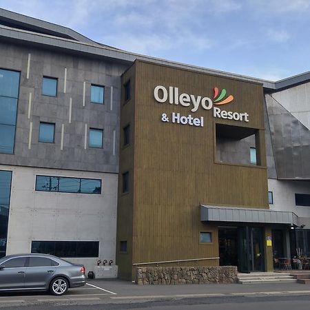 Olleyo Resort Szogüpho Kültér fotó